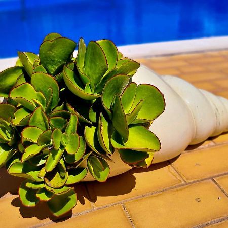 Flh Vilamoura Summer Apartment With Pool ภายนอก รูปภาพ