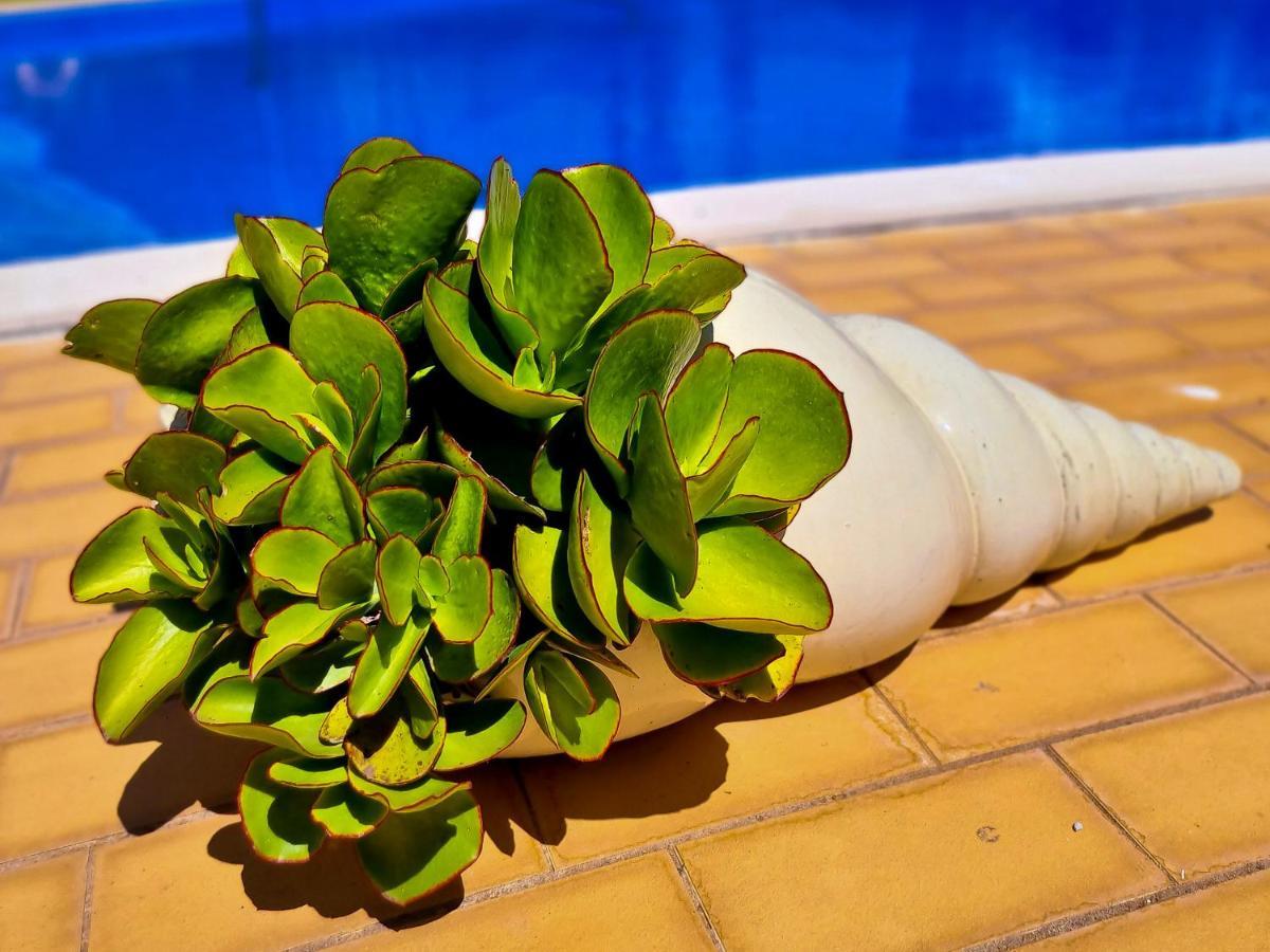Flh Vilamoura Summer Apartment With Pool ภายนอก รูปภาพ